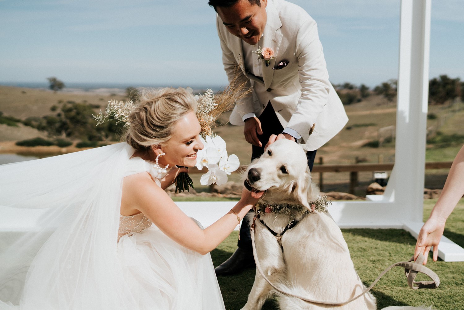 Main image: Vendor Q&A: How To Include Your Dog In Your Wedding With I Do Paws
